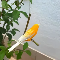 Pássaro de Madeira Canário do Reino | Comprar na Lojinha Uai - imagem 2