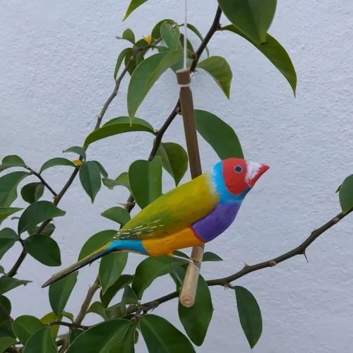 Pássaro de Madeira Diamante de Gould