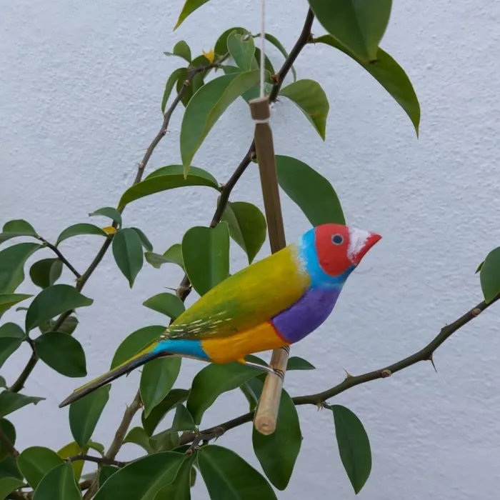 Pássaro de Madeira Diamante de Gould | Comprar na Lojinha Uai