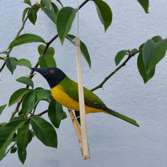 Pássaro de Madeira Sabiá Pimenta | Comprar na Lojinha Uai