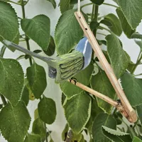 Pássaro de Madeira Trinca Ferro Fêmea de Trinca Ferro Pedindo Gala | Comprar na Lojinha Uai - imagem 2