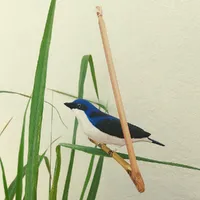Pássaro de Madeira Andorinha - imagem 1