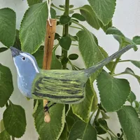 Pássaro de Madeira Trinca Ferro Fêmea de Trinca Ferro Pedindo Gala | Comprar na Lojinha Uai - imagem 1