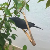 Passarinho de Madeira Pássaro Preto Graúna Grande - imagem 2
