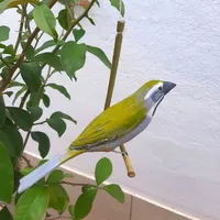 Pássaro de Madeira Trinca Ferro Pixarro | Comprar na Lojinha Uai - imagem 1