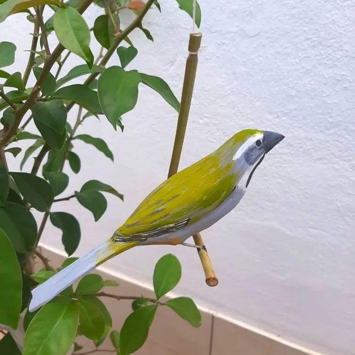 Pássaro de Madeira Trinca Ferro Pixarro | Comprar na Lojinha Uai