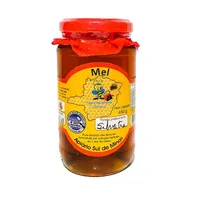 Mel Silvestre Puro 450g | Comprar Lojinha Uai - imagem 1
