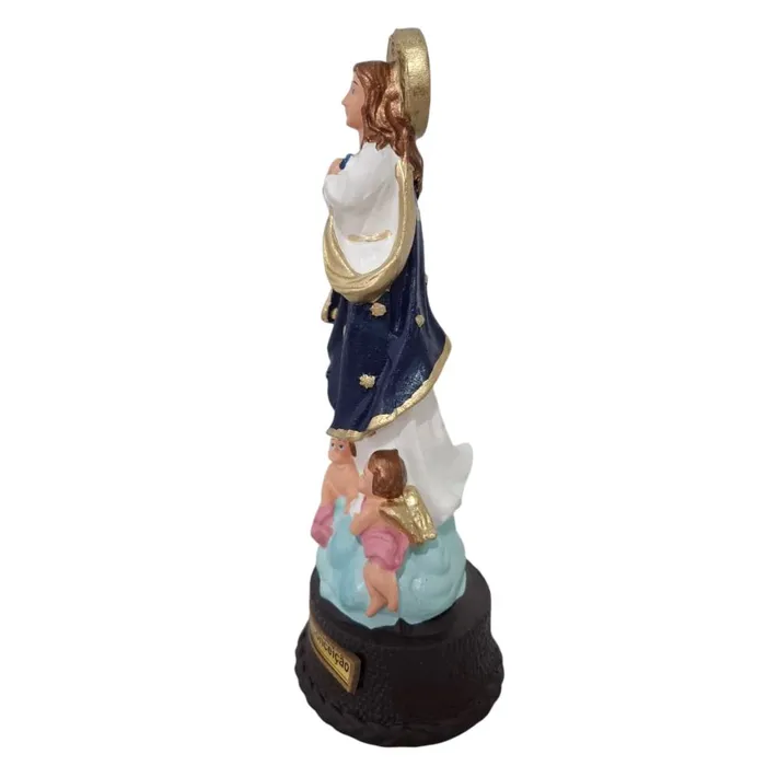 Imagem de Nossa Senhora da Imaculada Conceição de Borracha | Comprar na Lojinha Uai