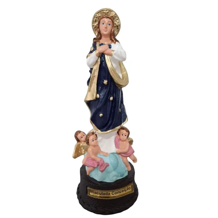 Imagem de Nossa Senhora da Imaculada Conceição de Borracha | Comprar na Lojinha Uai