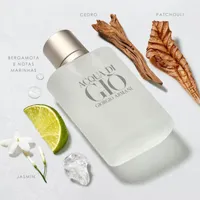 Perfume Acqua Di Giò EDT Masculino Giorgio Armani 100ml - imagem 4