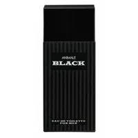 Perfume Animale Black EDT Masculino 100ml - imagem 2