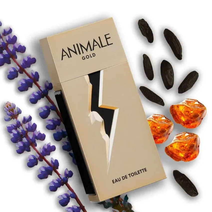 Perfume Animale Gold For Men EDT Masculino 100ml