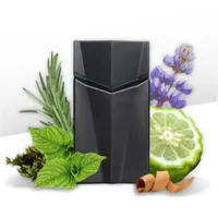 Perfume Animale Seduction Homme EDT Masculino 100ml - imagem 5