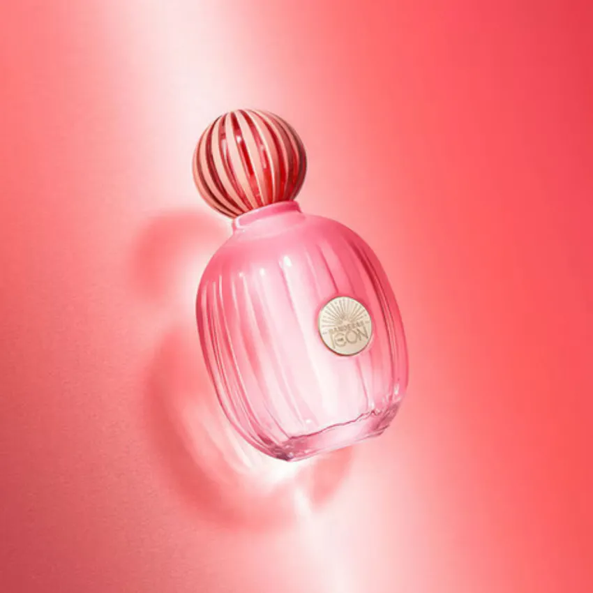 Perfume Antonio Banderas The Icon Splendid Woman EDP Feminino 100ml