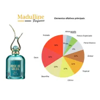 Perfume Árabe Rose De Soleil Eclat EDP Feminino Riiffs 100ml - imagem 7