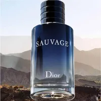 Perfume Dior Sauvage EDT Masculino 100ml - imagem 3