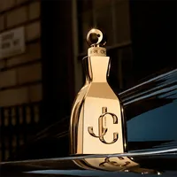 Perfume Jimmy Choo I Want Choo Le Parfum Feminino 100ml - imagem 4
