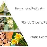 Kit Sabonete em Barra La Florentina Flores de Oliveira 3 x 150g - imagem 2