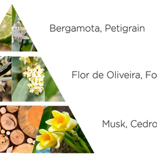 Kit Sabonete em Barra La Florentina Flores de Oliveira - 3 x 150g