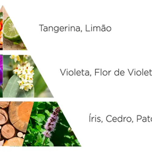 Kit Sabonete em Barra La Florentina Iris Florentina - 3 x 150g