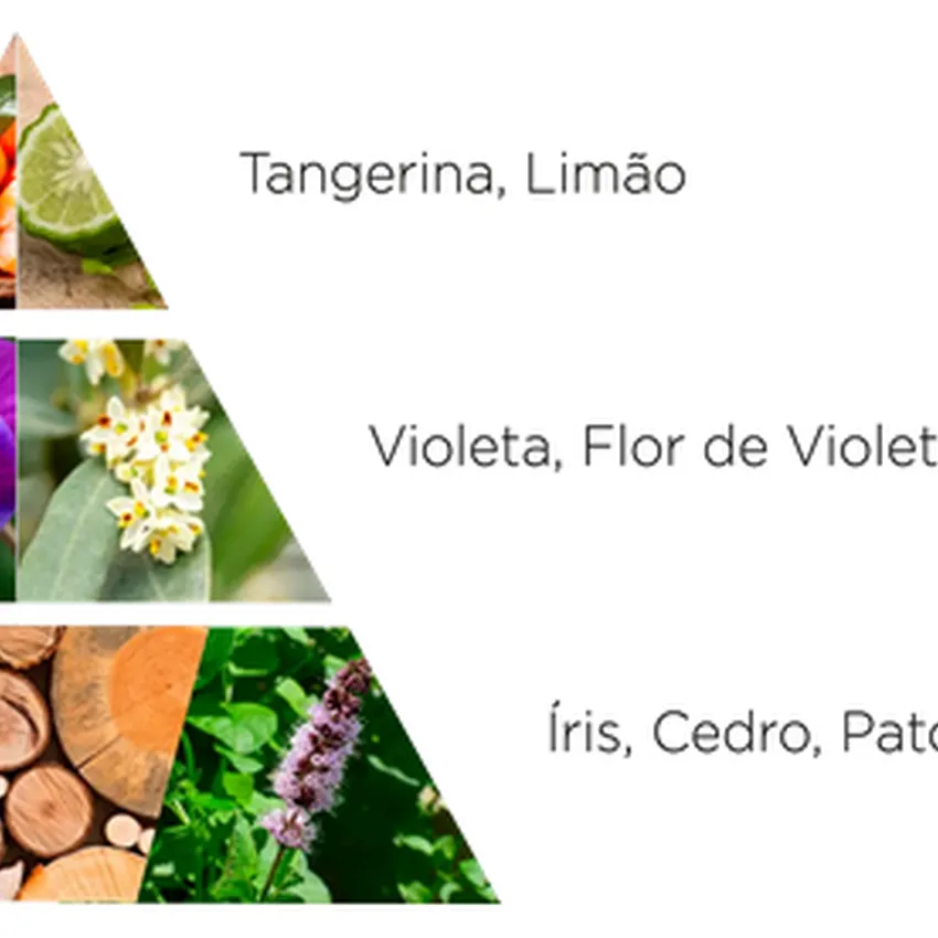 Kit Sabonete em Barra La Florentina Iris Florentina 3 x 150g