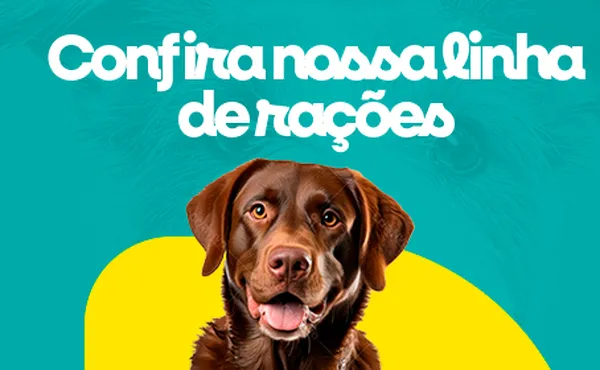 banner 2
