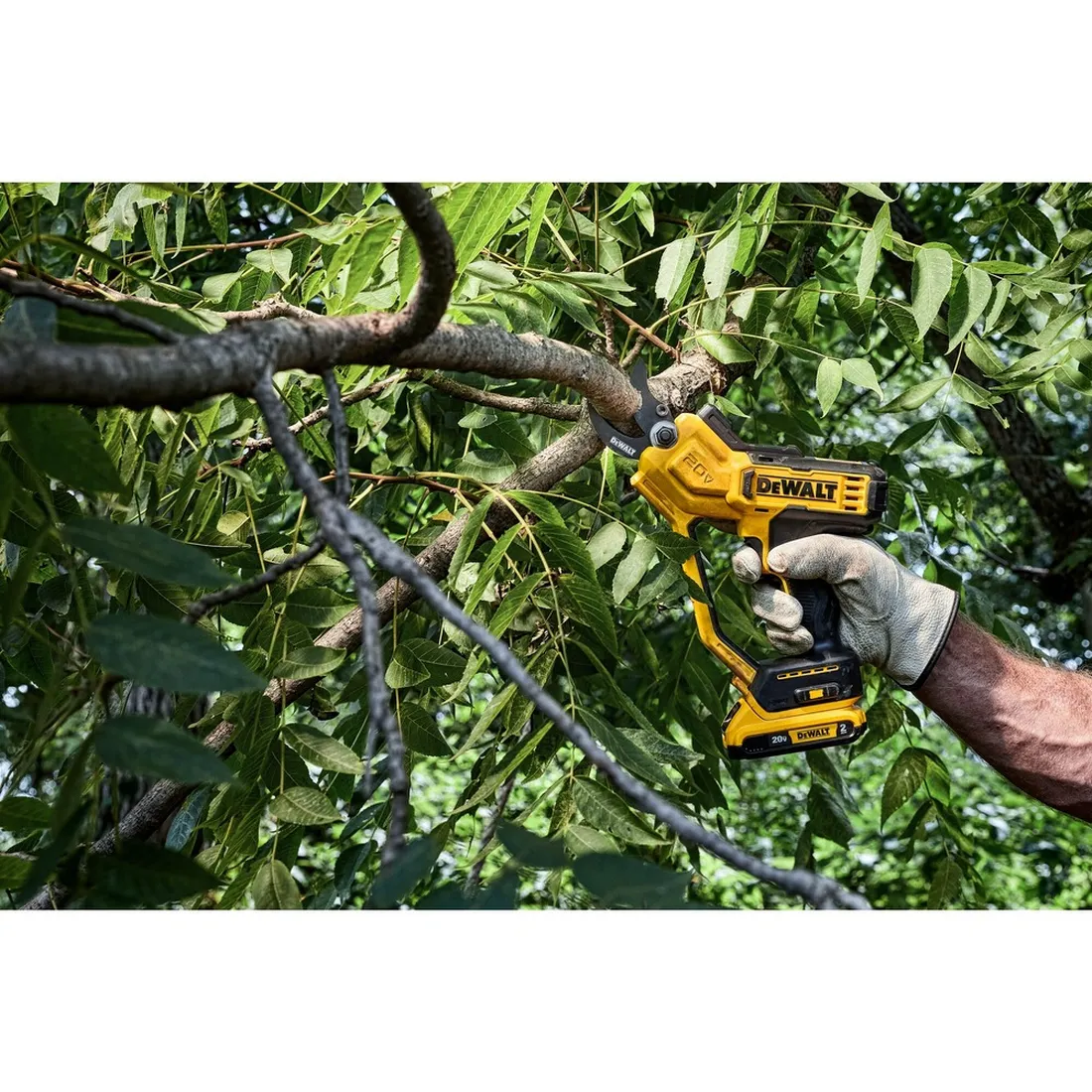 Tesoura de Poda de 1,5" 20V MAX DEWALT DCPR320B
