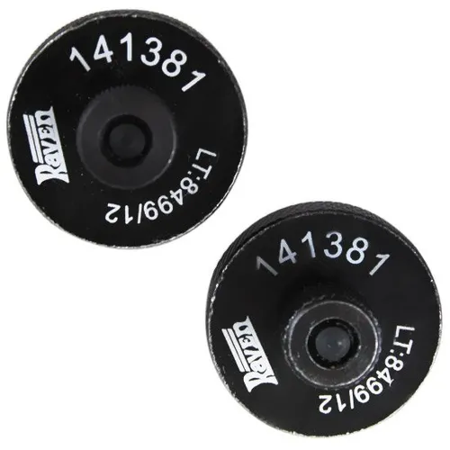 Conjunto com 2 Ferramentas para Fasagem dos Eixos de Comando de Válvulas - RAVEN-141381