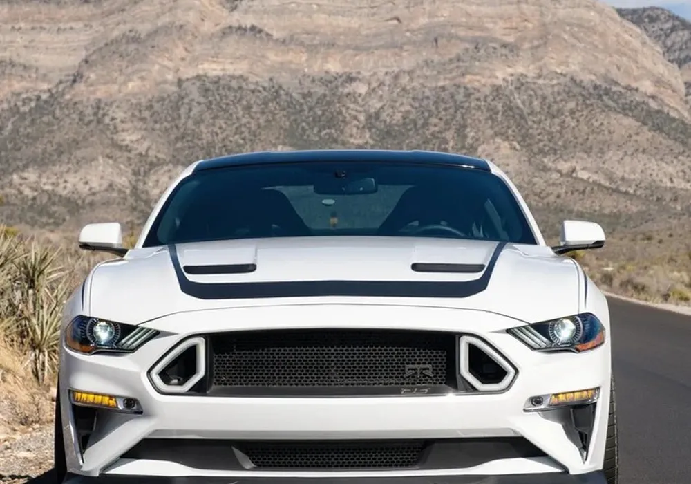 Pacote Aerodinâmico Traseiro Performance Pack (GT/EcoBoost 18-23)