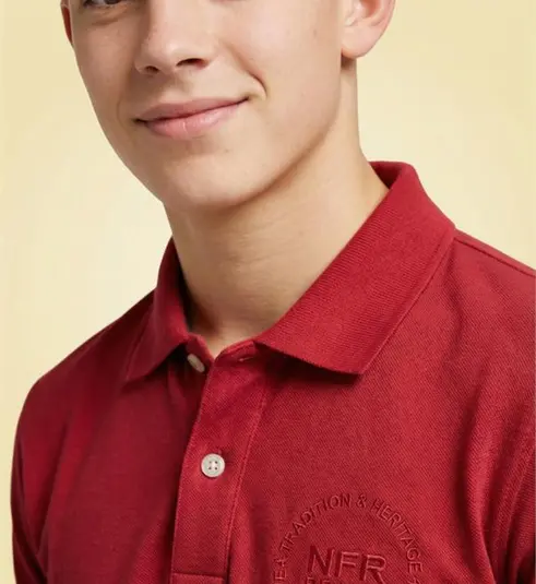 CAMISA GOLA POLO