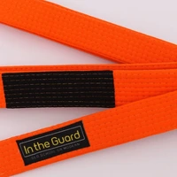 Faixa Jiu Jitsu Infantil - imagem 4