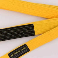 Faixa Jiu Jitsu Infantil - imagem 3