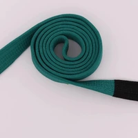 Faixa Jiu Jitsu Infantil - imagem 6