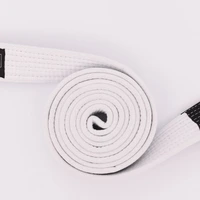 Faixa Jiu Jitsu Infantil - imagem 8