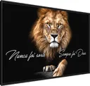 categoria Animais