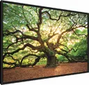 categoria Paisagens