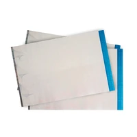 Papel Moeda Azul com Holografia Prata - imagem 3