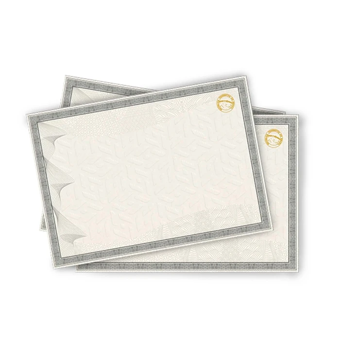 Papel Moeda Cinza com Brasão Hot Stamping Dourado