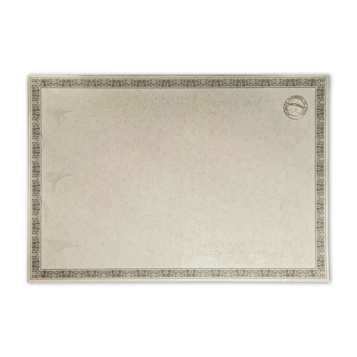 Papel Moeda Cinza com Brasão Hot Stamping Dourado
