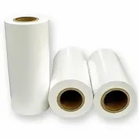 Vinil Adesivo InkJet 140g BOPP - Branco Perolado - Rolo 0,5m x 20m - imagem 1