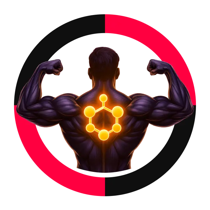 Força explosiva comprovada