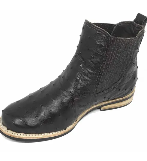Bota de Avestruz Cheio Marrom Café - CANO CURTO, BICO REDONDO