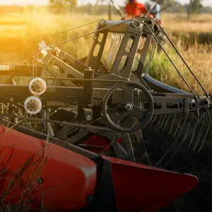 categoria Implementos