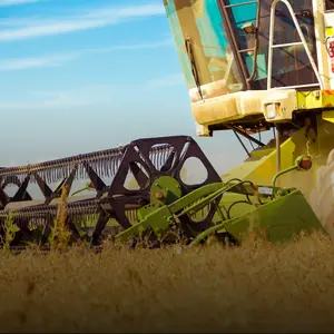 categoria Colheitadeiras