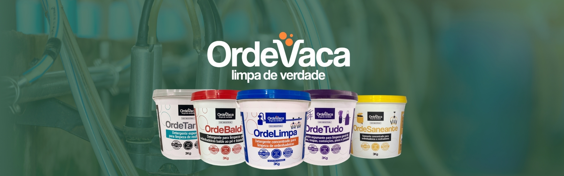 Banner OrdeVaca