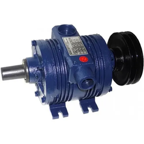 Bomba de vacuo 1000l Triunfo