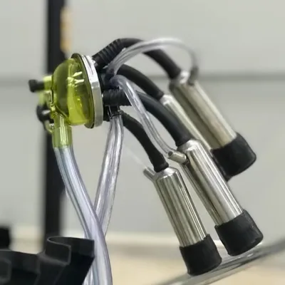 UNIDADE DE ORDENHA IN PULSE PARA CANALIZADA COM CANO INOX E LAVADOR ( ANTIGO 900294 )
