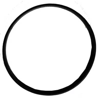 Anel de vedação do coletor 450ml Gimenez