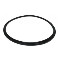 Anel de vedacao do deposito de vacuo aereo Gimenez - imagem 1