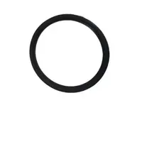 Anel de vedacao da bomba de leite Eurolatte/MFB - imagem 1